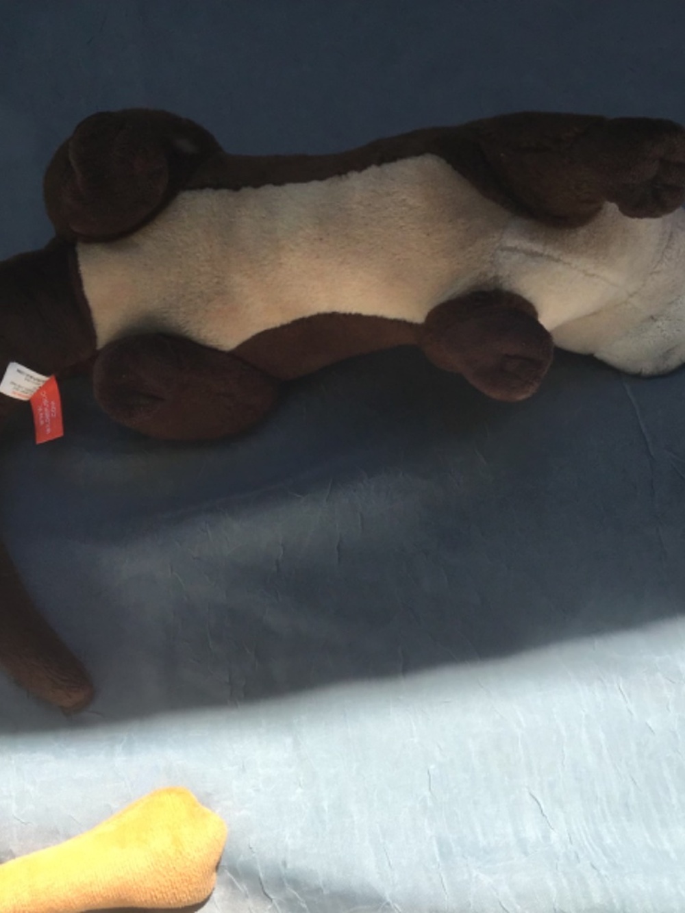 Realistic Otter (Like New) from Zoo &  Belly Down Goose Clean Stuffed Animals - Picture 11 of 11